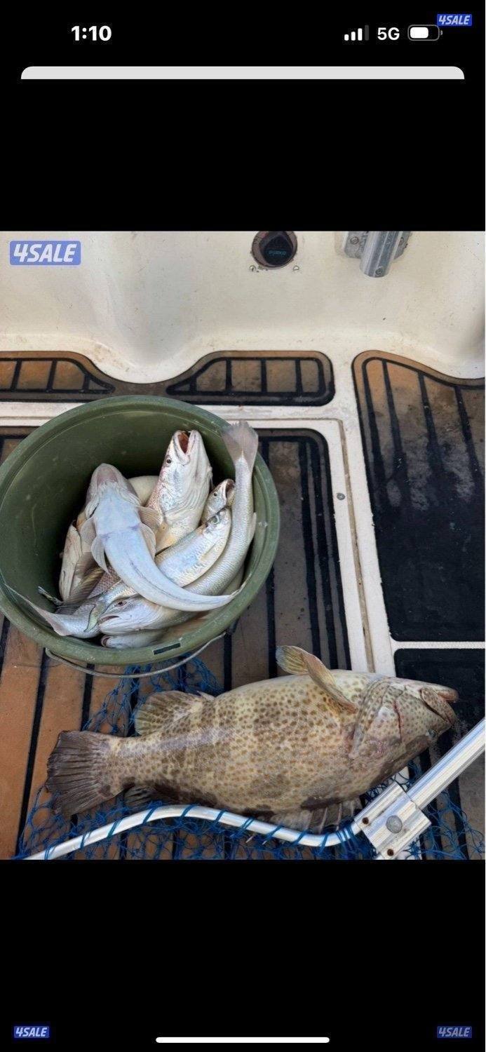 نوخذه كويتي لرحلات الحداق بالجون والجزر7