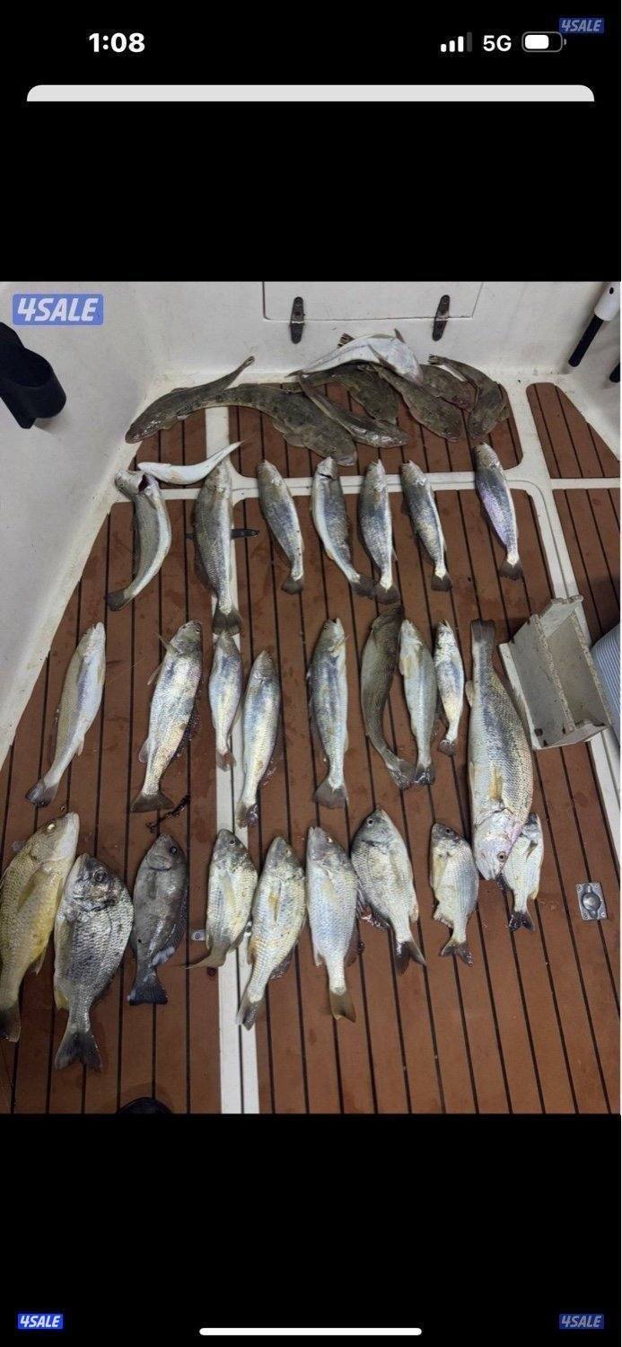 نوخذه كويتي لرحلات الحداق بالجون والجزر11