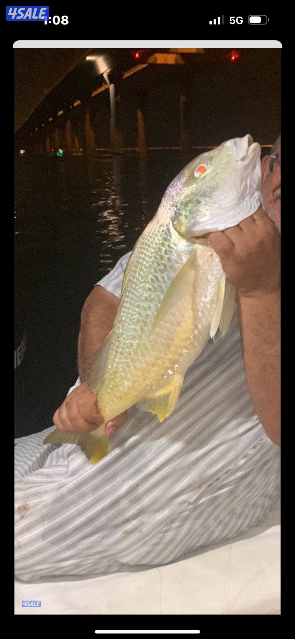 نوخذه كويتي لرحلات الحداق بالجون والجزر15