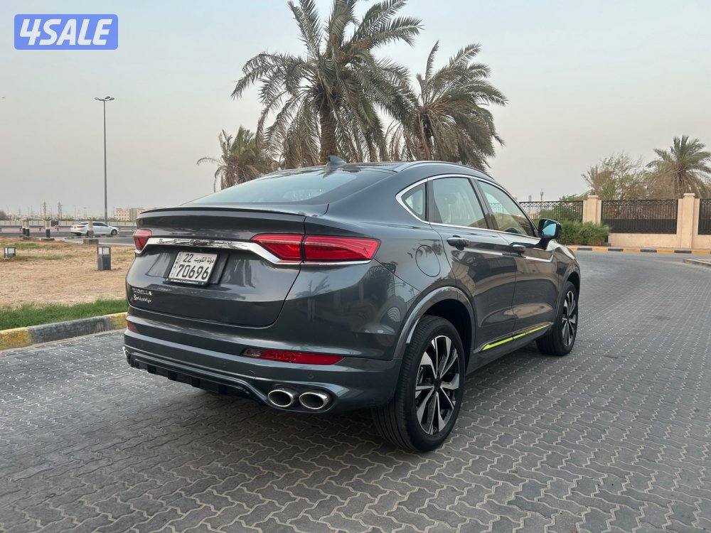 ‏المعاينة العارضية ‏الصناعية5