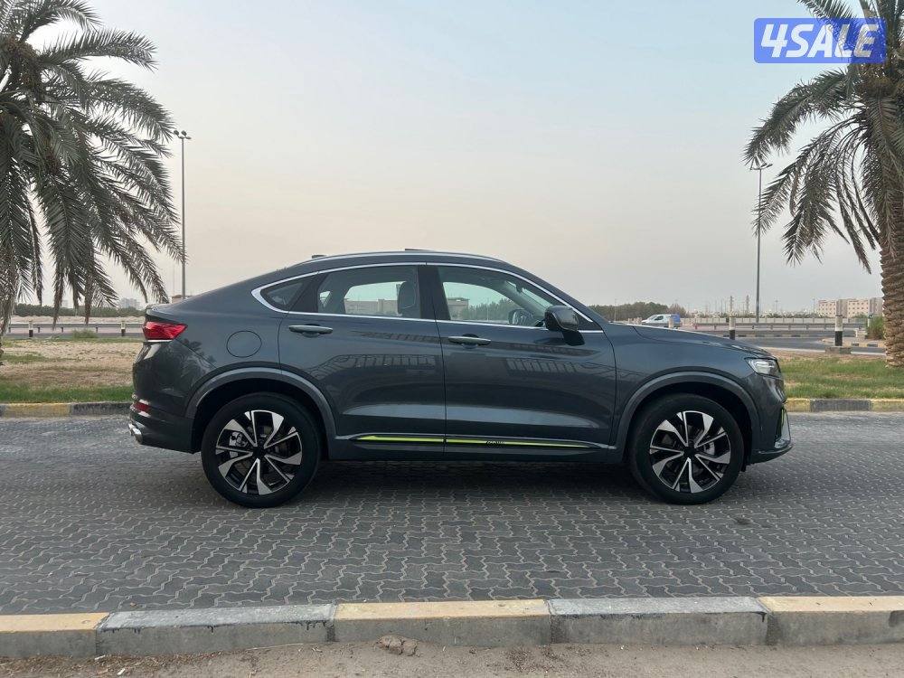 ‏المعاينة العارضية ‏الصناعية6