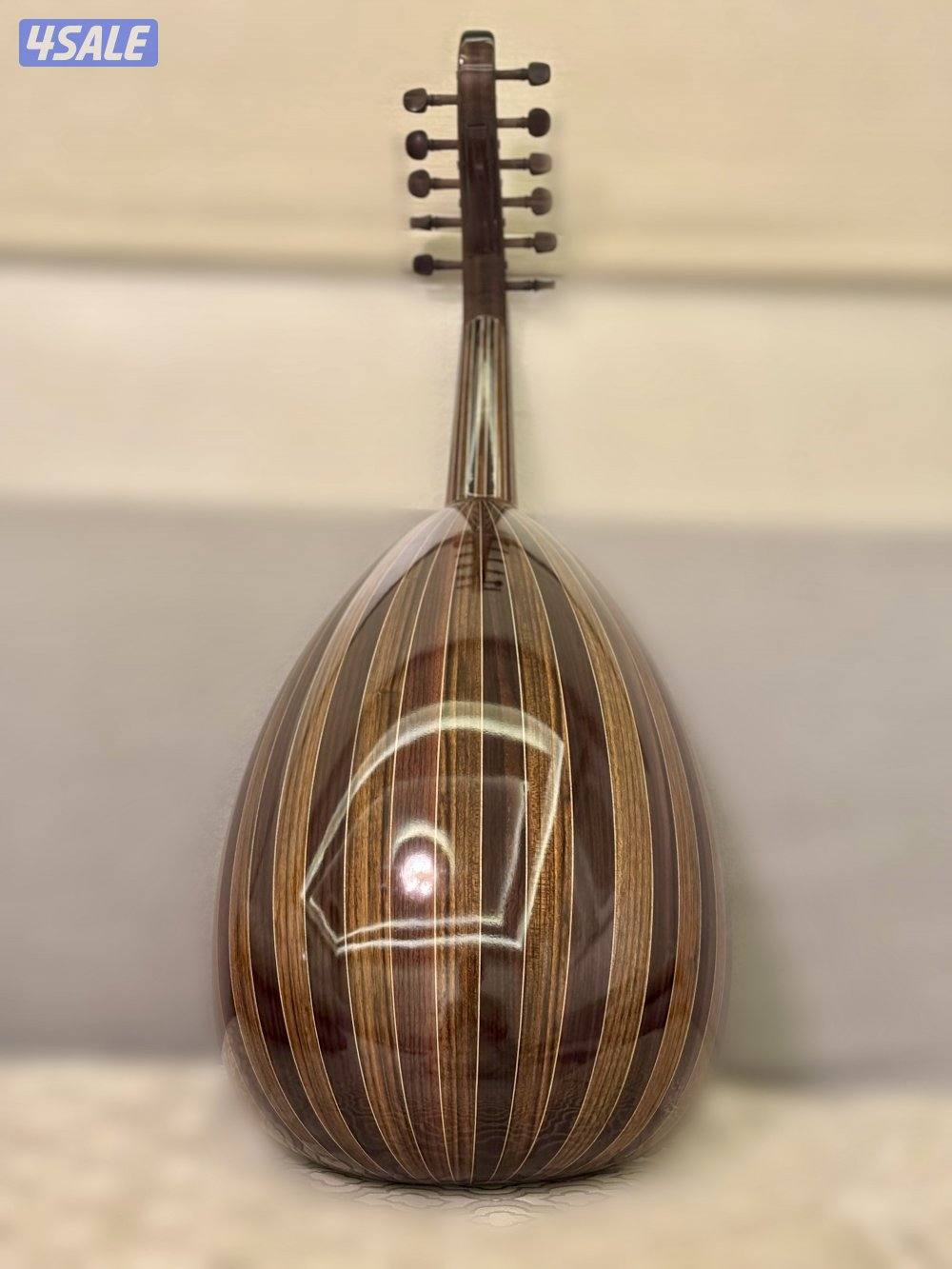 سالمين برهان ششني 20251