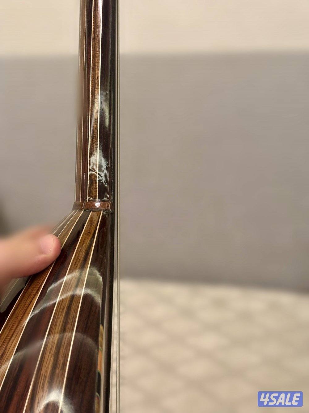 سالمين برهان ششني 20253