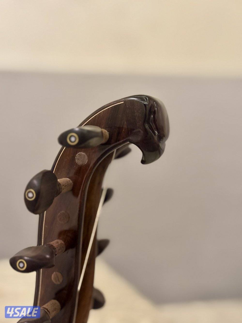 سالمين برهان ششني 20254