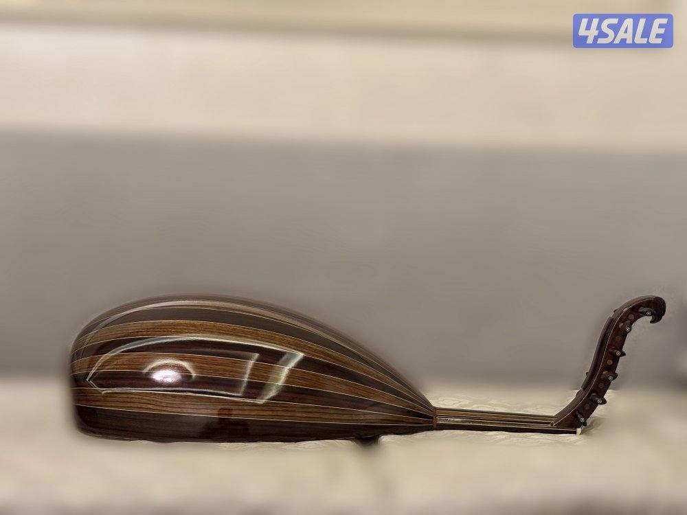 سالمين برهان ششني 20255