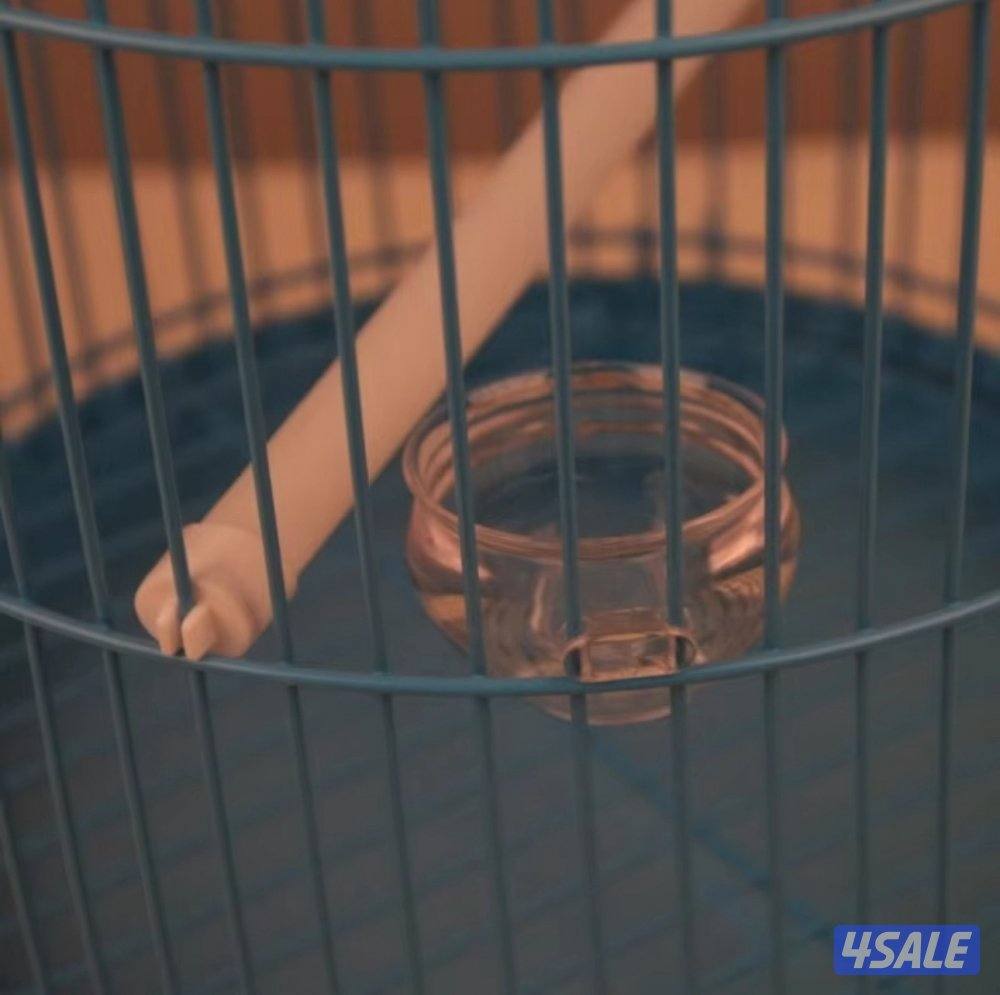 اقفاص متنوعه ويوجد فقاسات بسعار مناسبه5