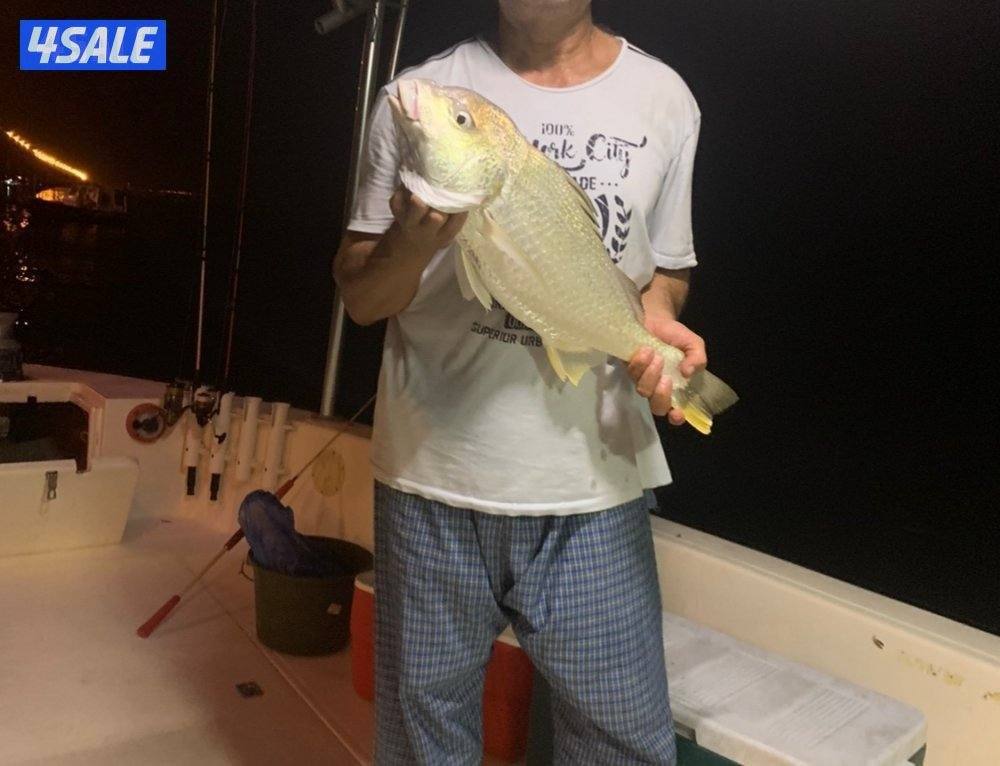 نوخذه كويتي لرحلات الحداق بالجون والجزر4