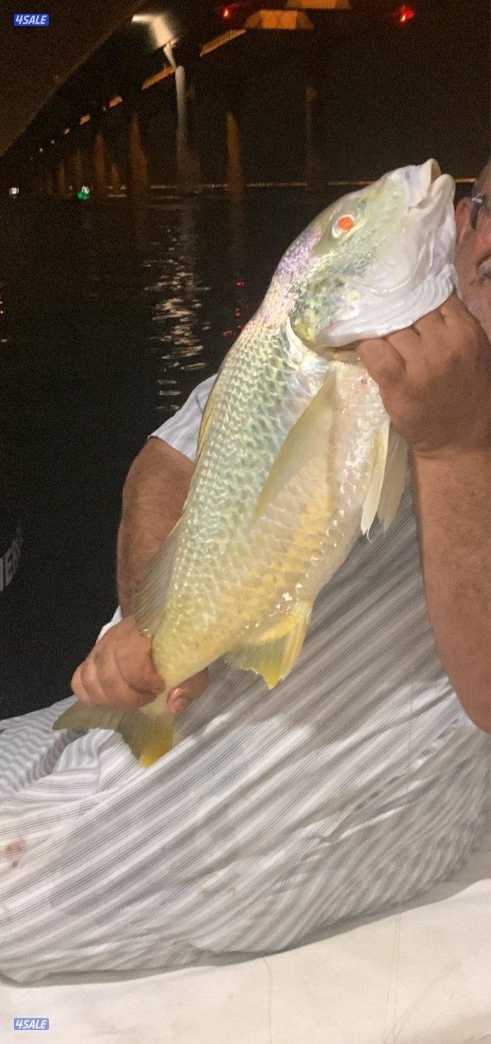 نوخذه كويتي لرحلات الحداق بالجون والجزر7