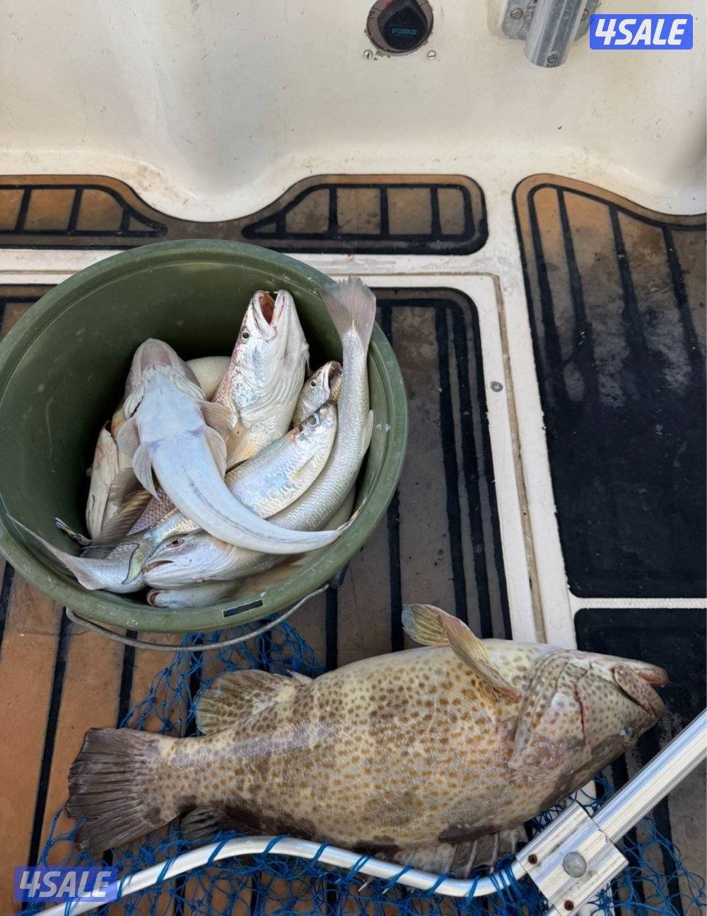 نوخذه كويتي لرحلات الحداق بالجون والجزر9