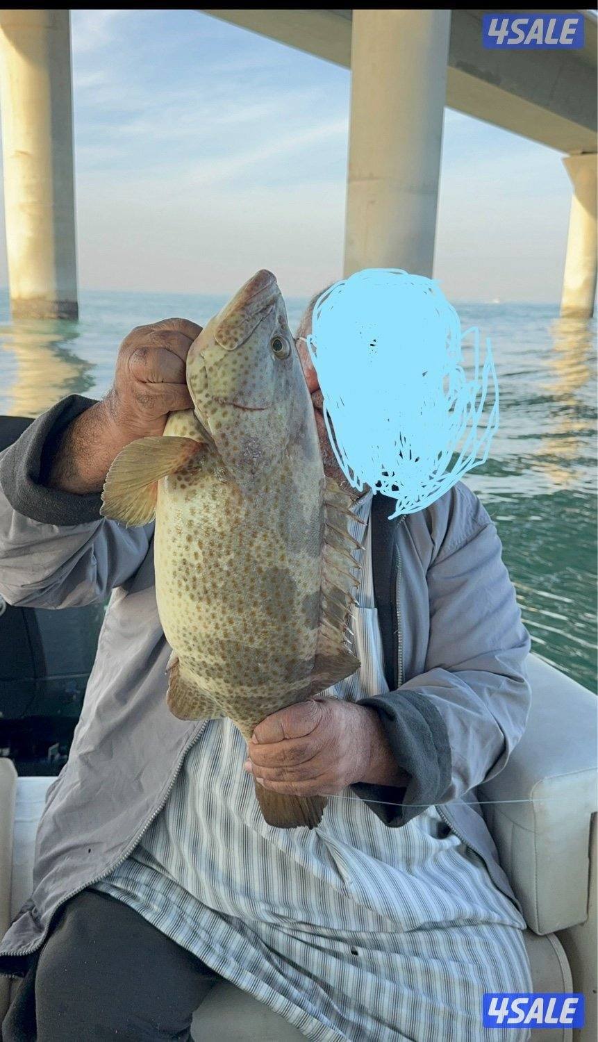 نوخذه كويتي لرحلات الحداق بالجون والجزر8