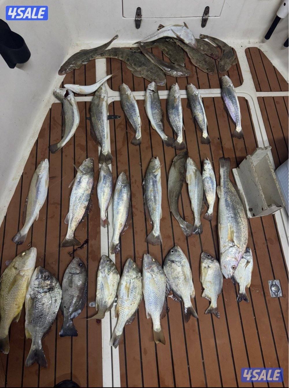 نوخذه كويتي لرحلات الحداق بالجون والجزر10