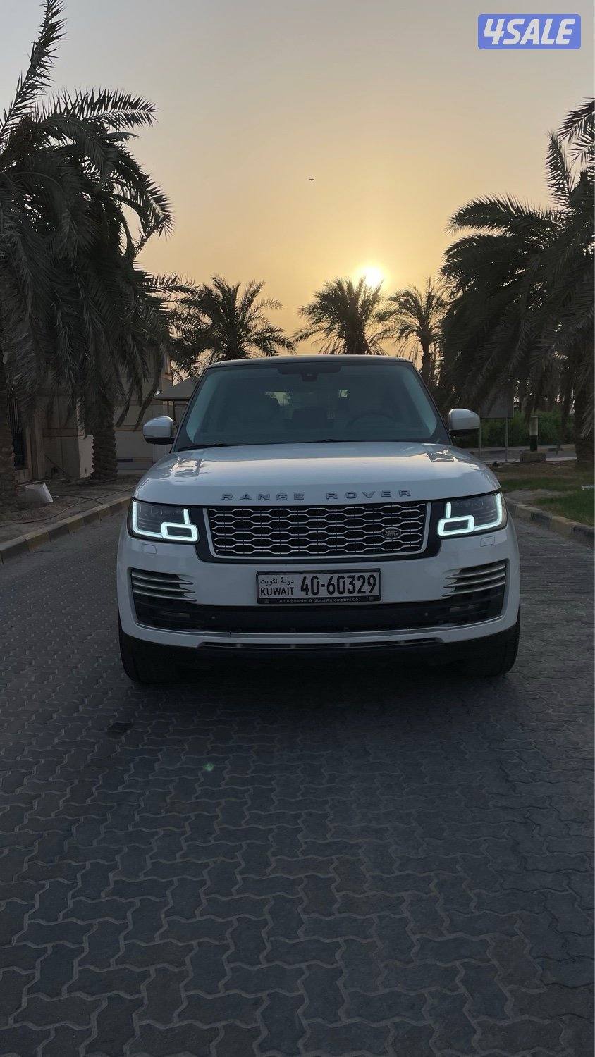 للمعاينة العارضية الحرفية2