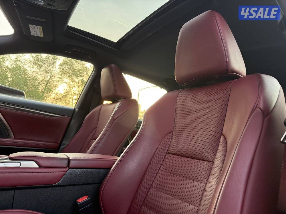 LEXUS RX350 FSPORT _20198