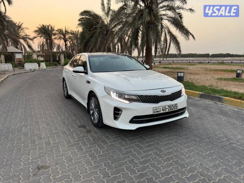 للمعاينة العارضية الحرفية0