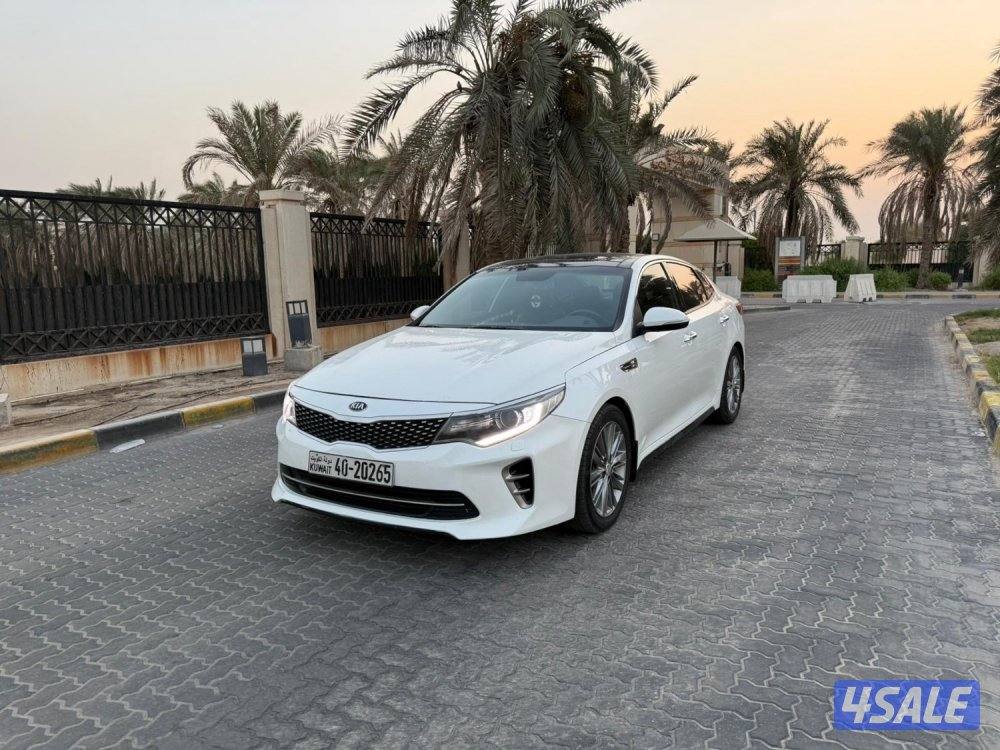 للمعاينة العارضية الحرفية1