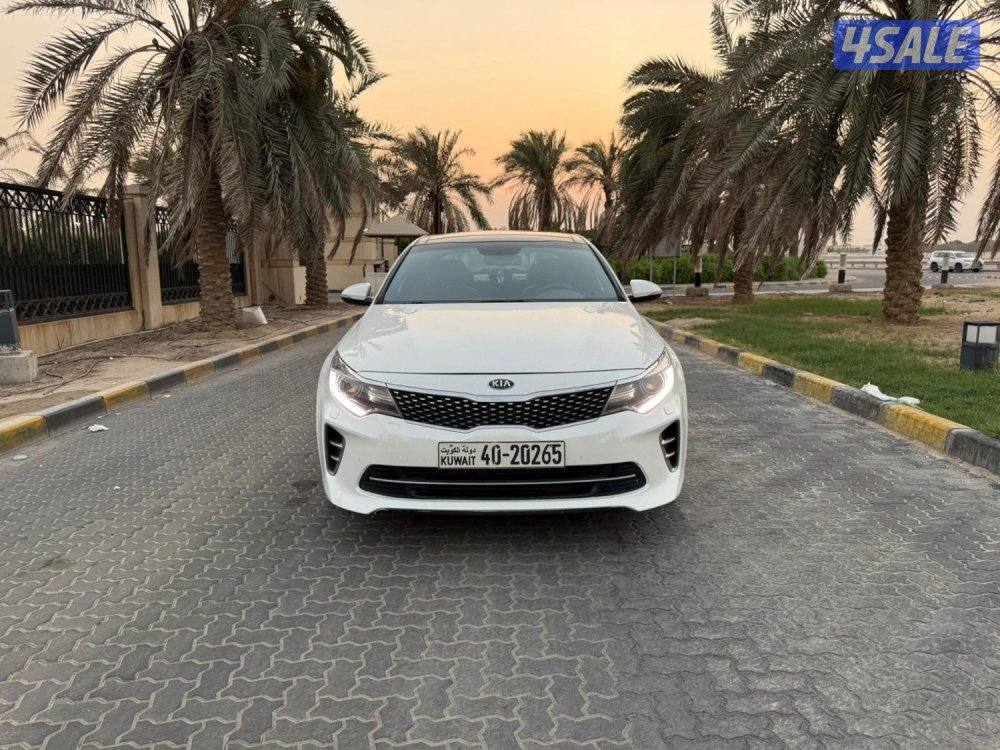 للمعاينة العارضية الحرفية2