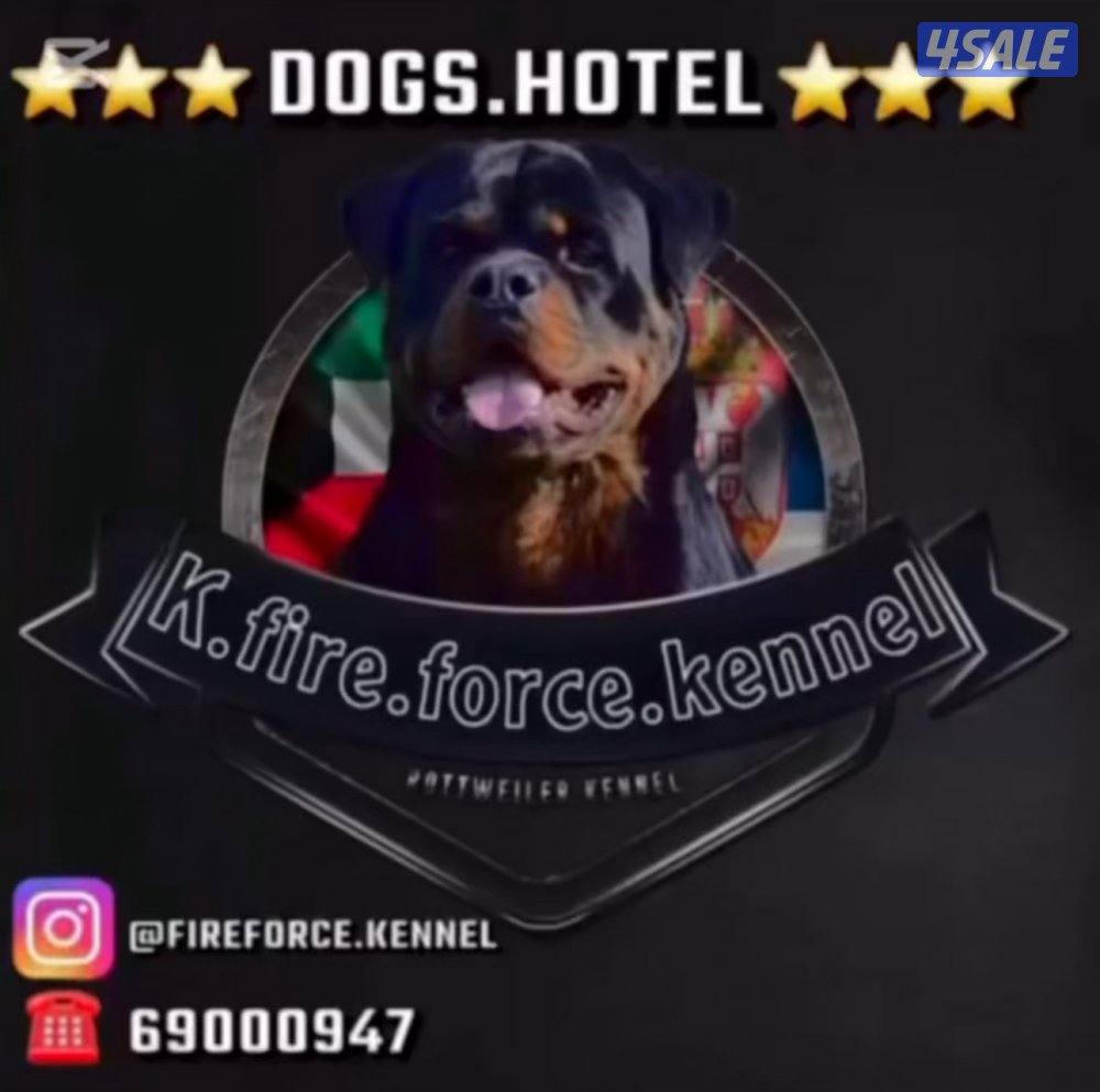 فندق للكلاب0