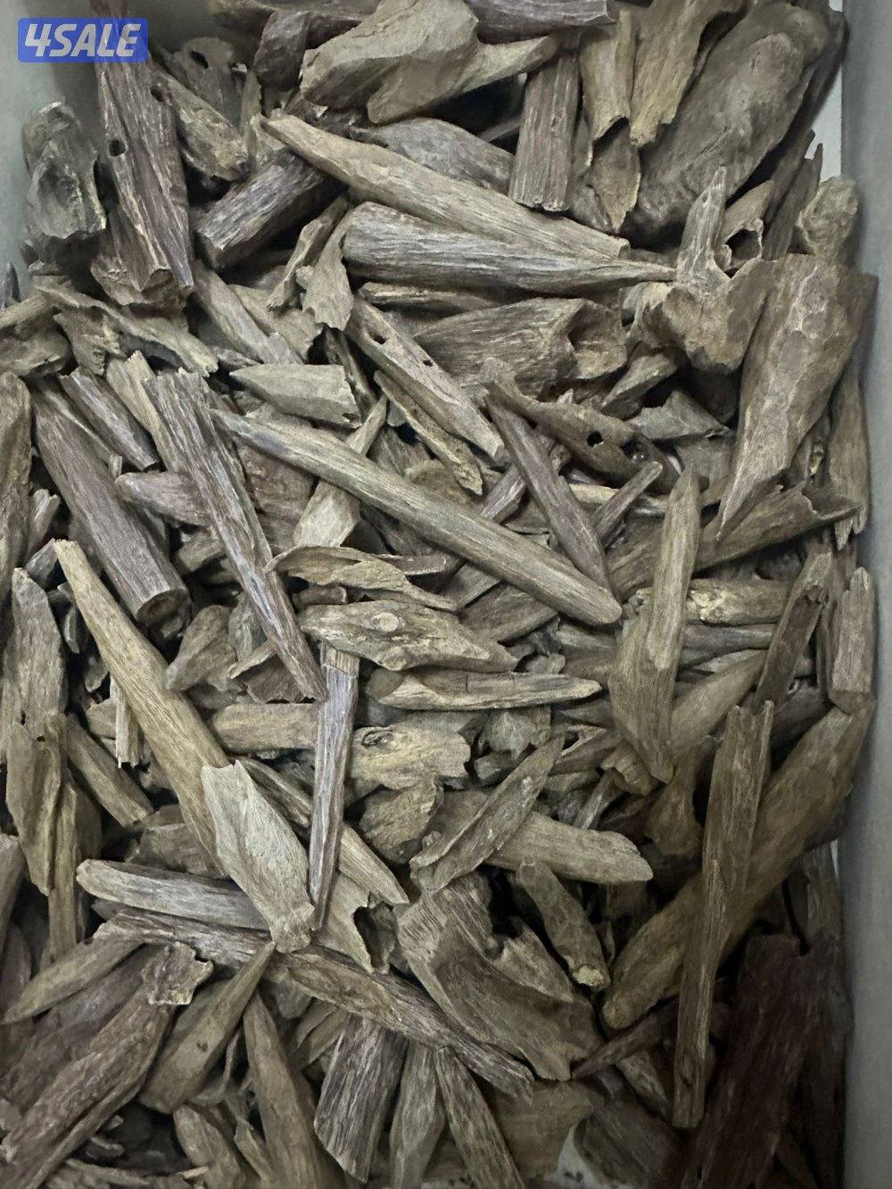 ربع كيلو عود فلبـيني صكوك0