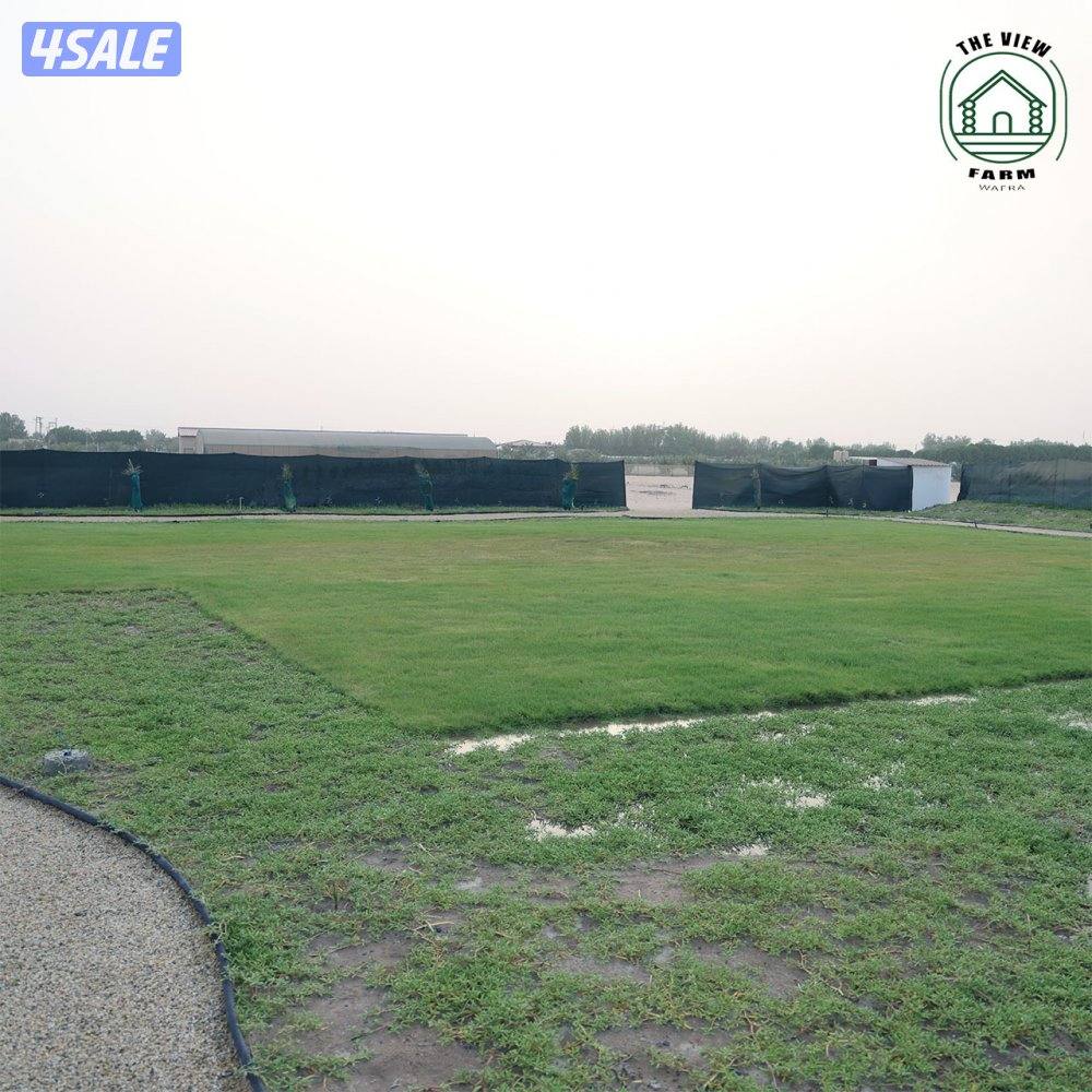 مزرعة Theview_wafra للأيجار اليومي12
