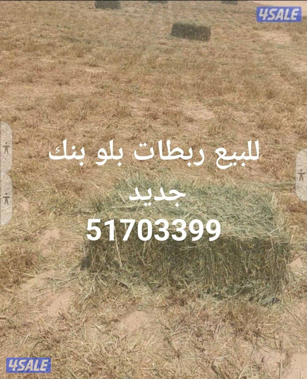 للبيع ربطات بلو بنك تلبين اليوم جديد0