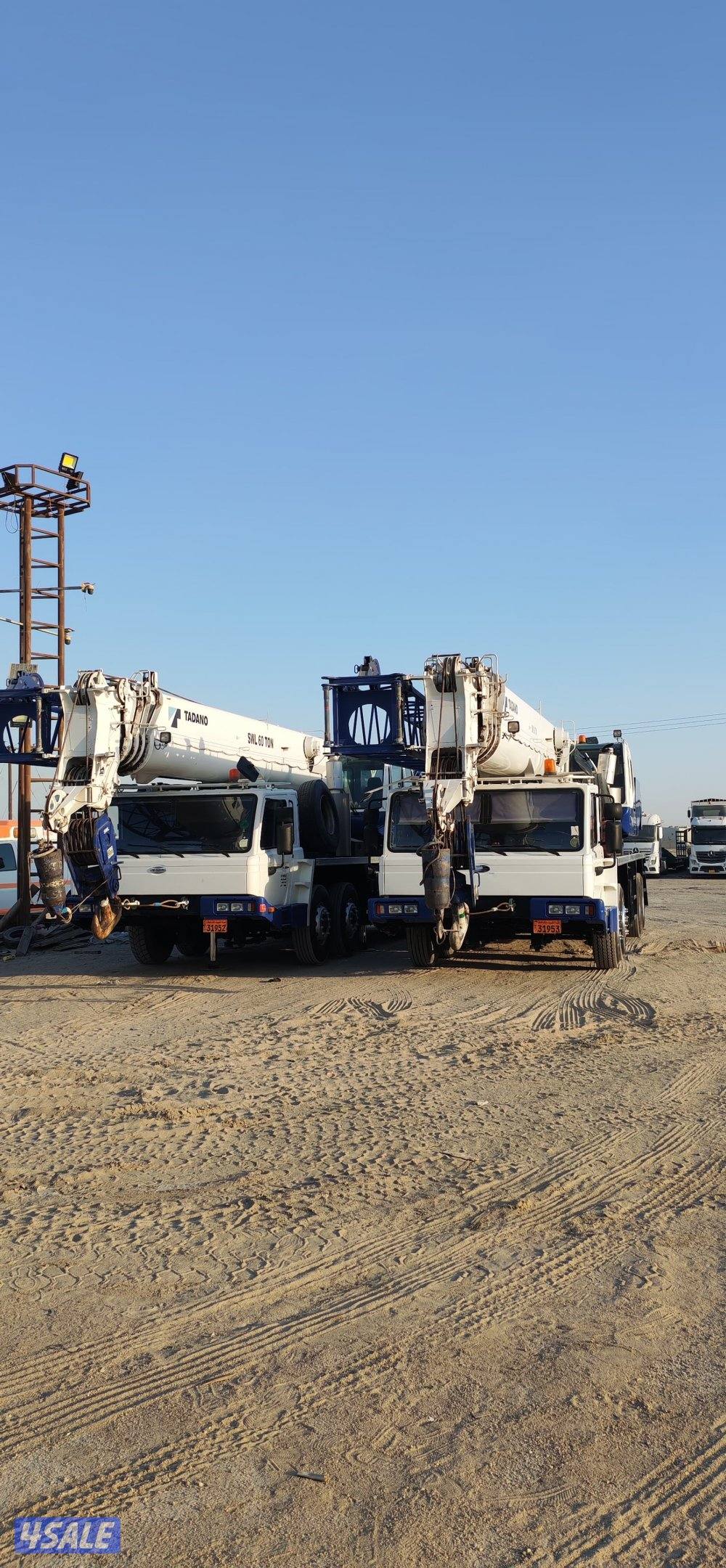 كرينات تدانو1