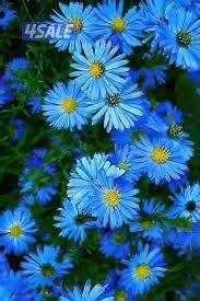 محاسب يطلب دوام جزئي او زيارات0