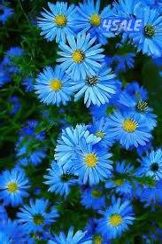 محاسب يطلب دوام جزئي او زيارات1