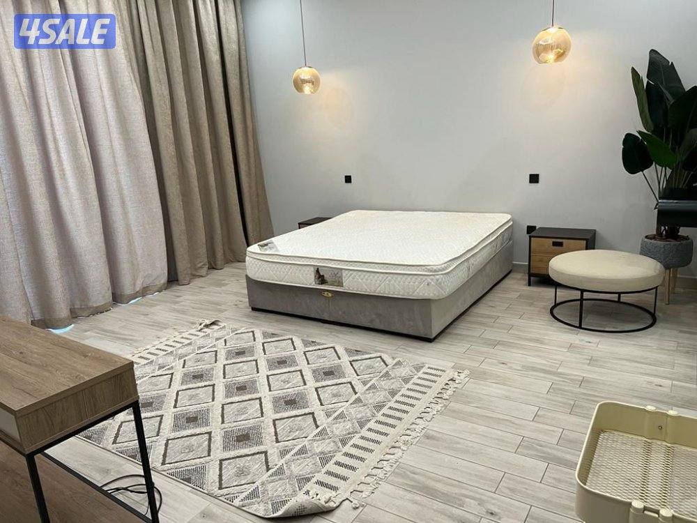 شاليه شارك_العربون يسلم نقدا تفادي عمليات النصب12