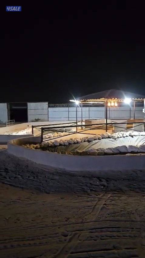 للاجار مزرعه بالوفرة8