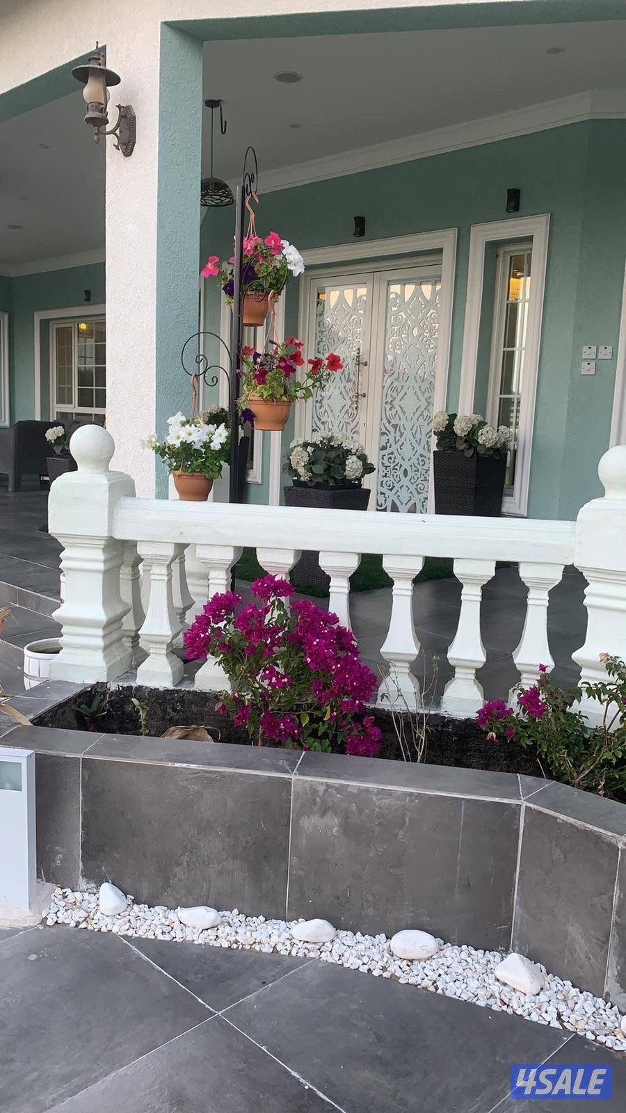 مزرعة ( ڤيلا بلو ) الوفرة1