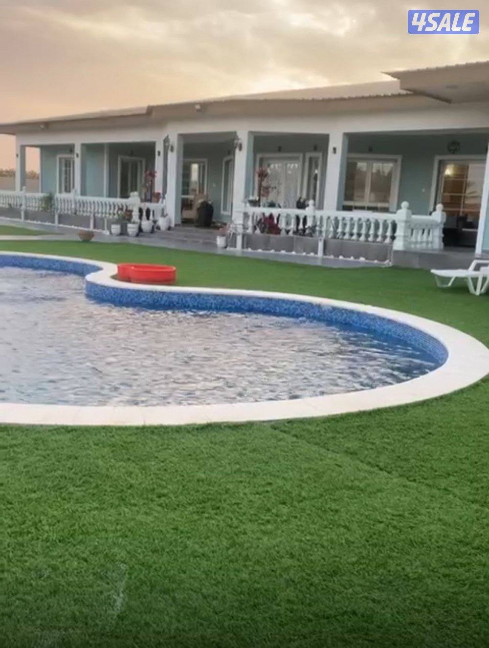 مزرعة ( ڤيلا بلو ) الوفرة3