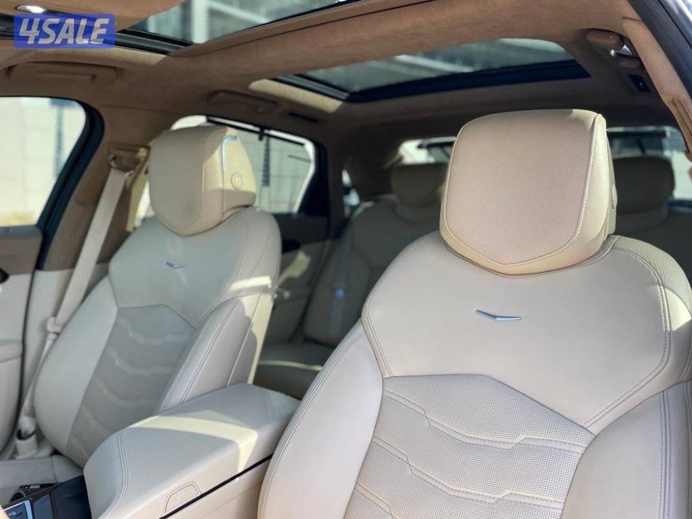 البلاتنيوم اعلى فئه3