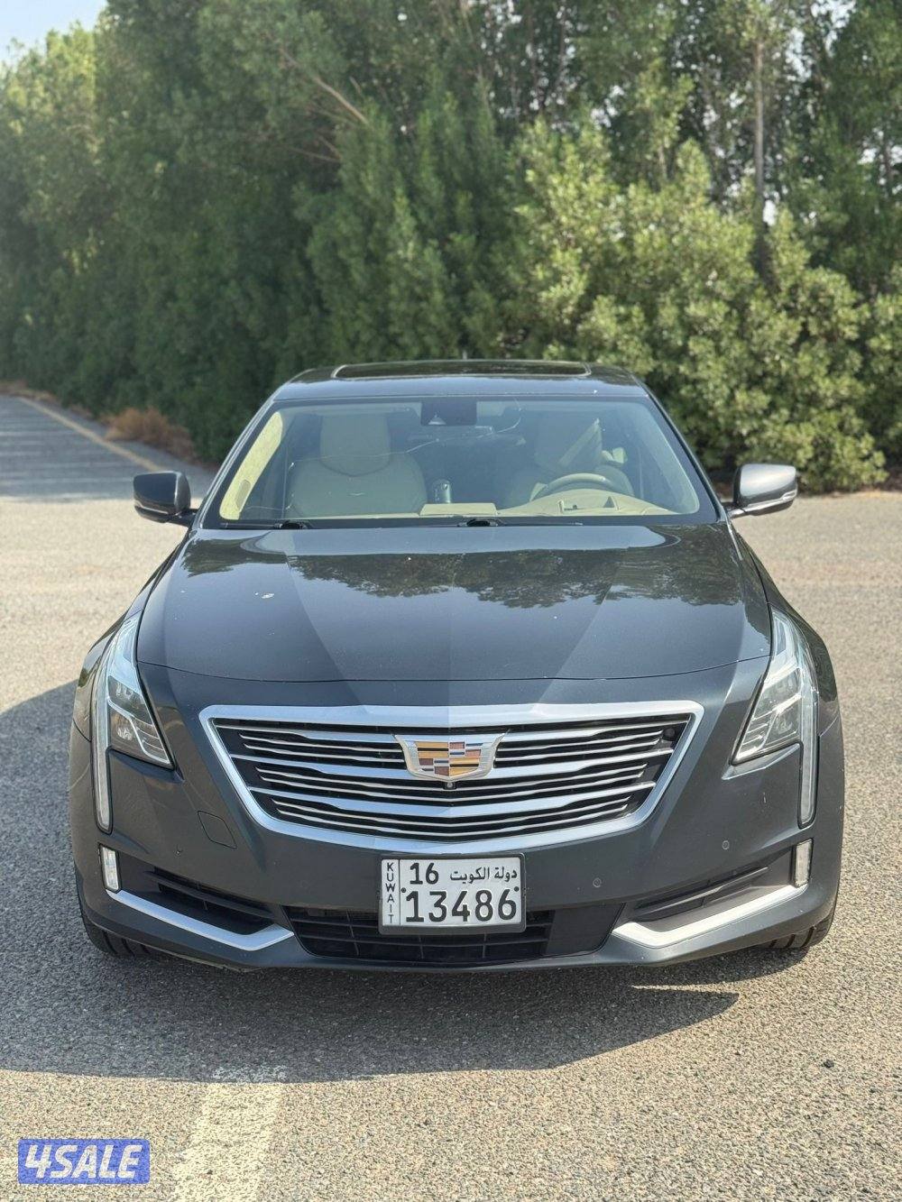 البلاتنيوم اعلى فئه5