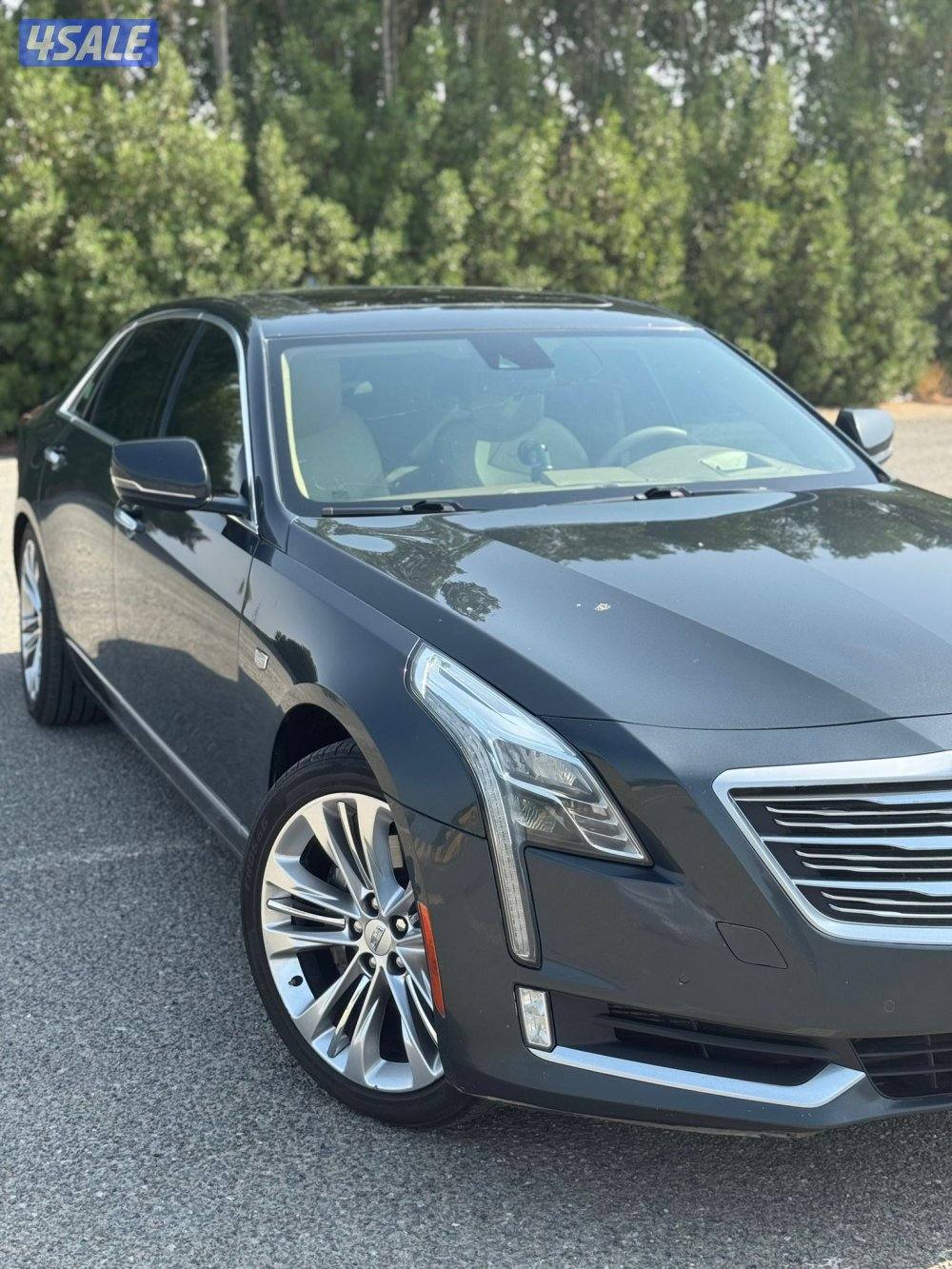 البلاتنيوم اعلى فئه6