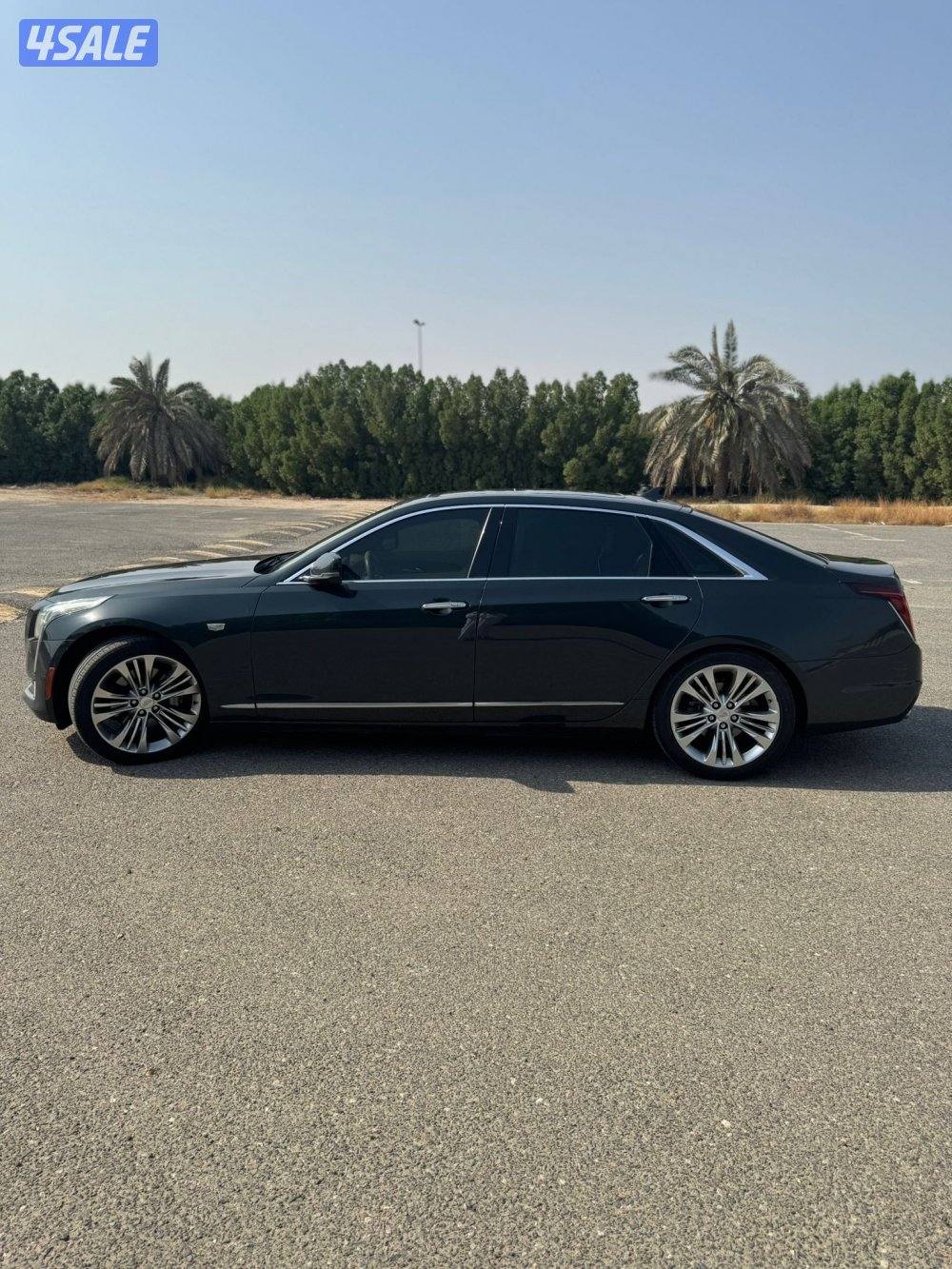 البلاتنيوم اعلى فئه10