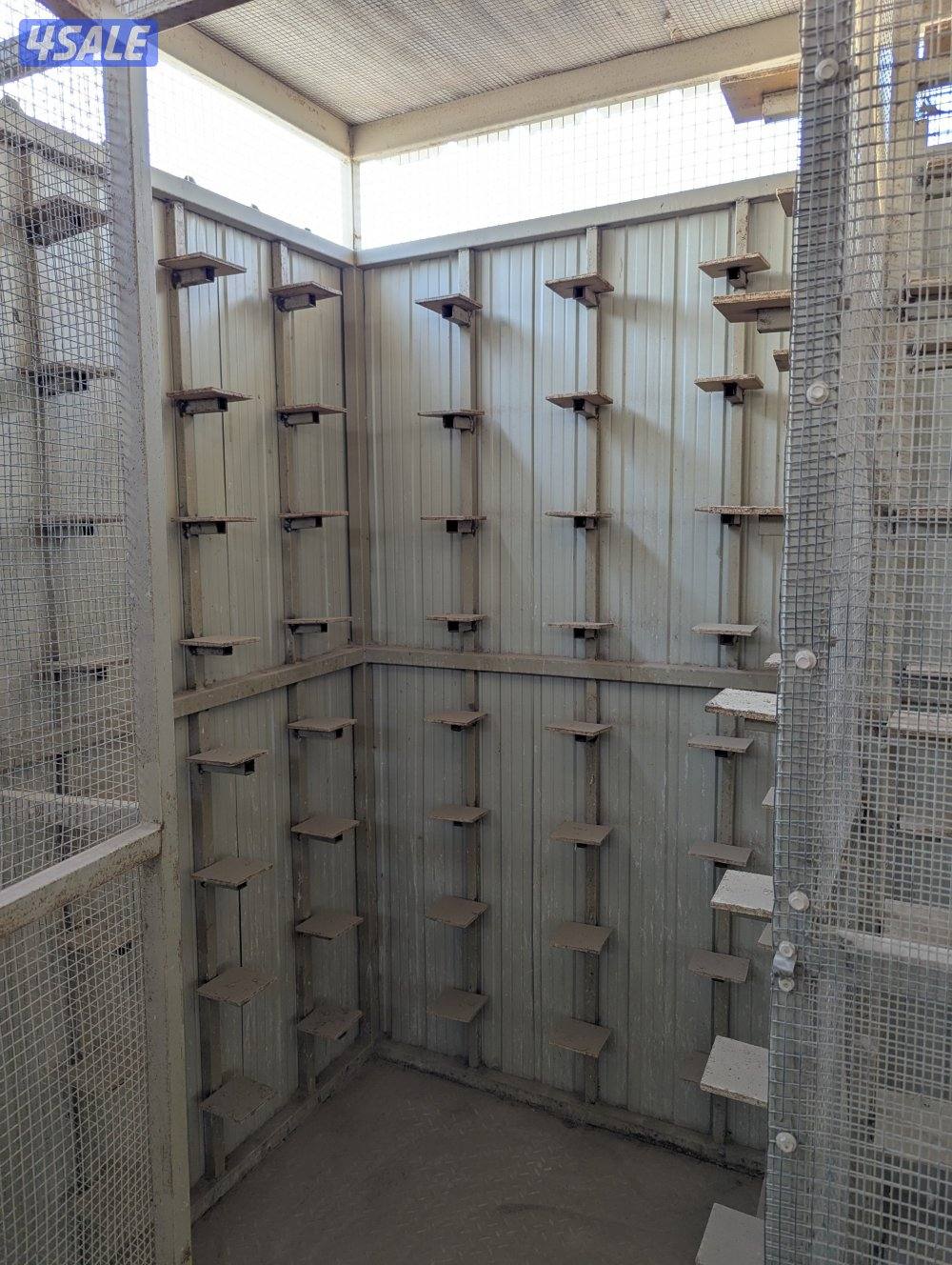 جبرة تفريخ متنقله5