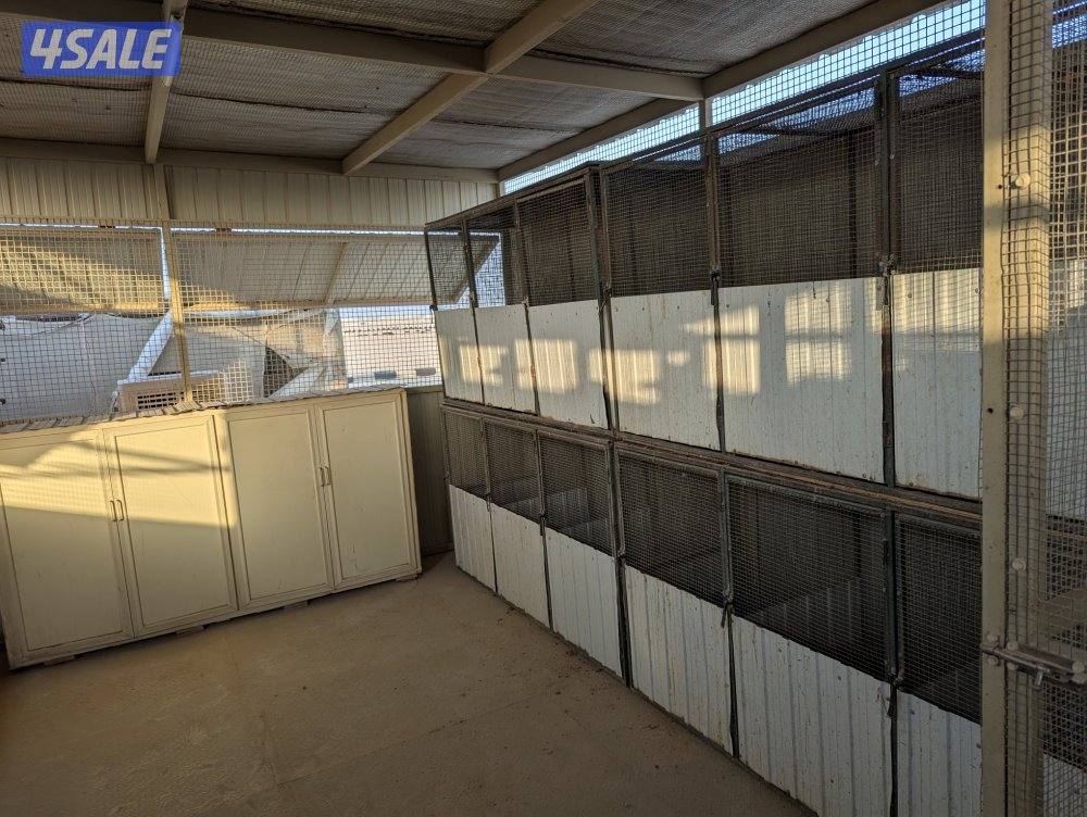 جبرة تفريخ متنقله6