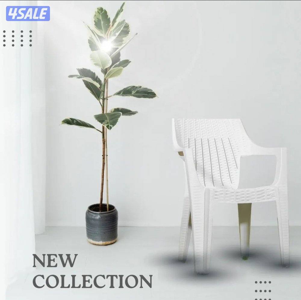 📌كراسي بلاستك مقوى عالي الجوده4