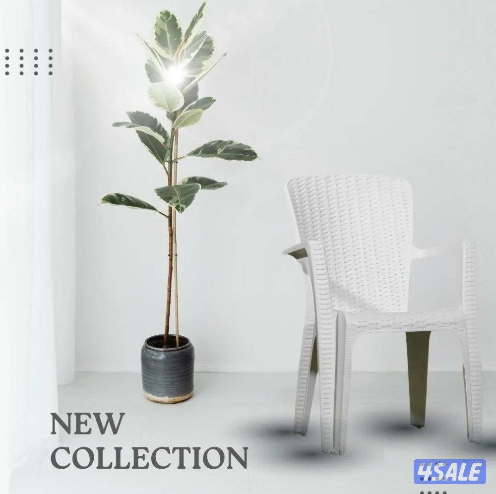 📌كراسي بلاستك مقوى عالي الجوده3