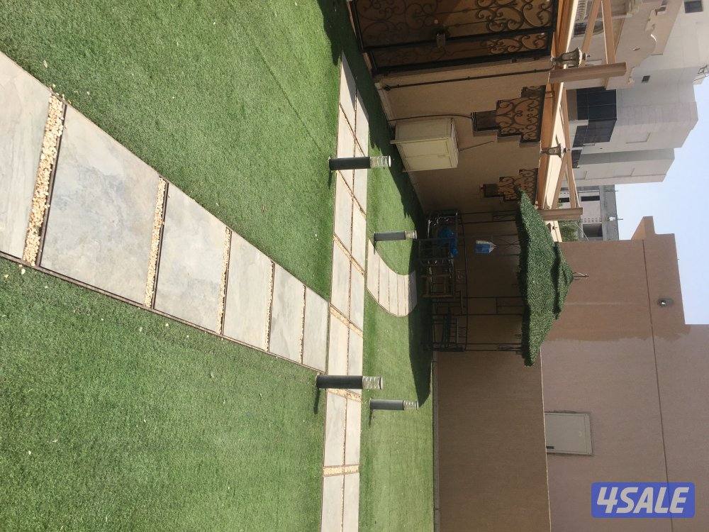 للايجار فيلا بالعقيله لعائله اجنبيه3