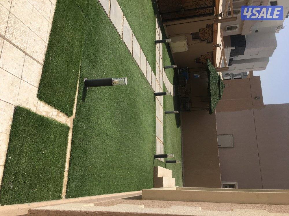 للايجار فيلا بالعقيله لعائله اجنبيه4