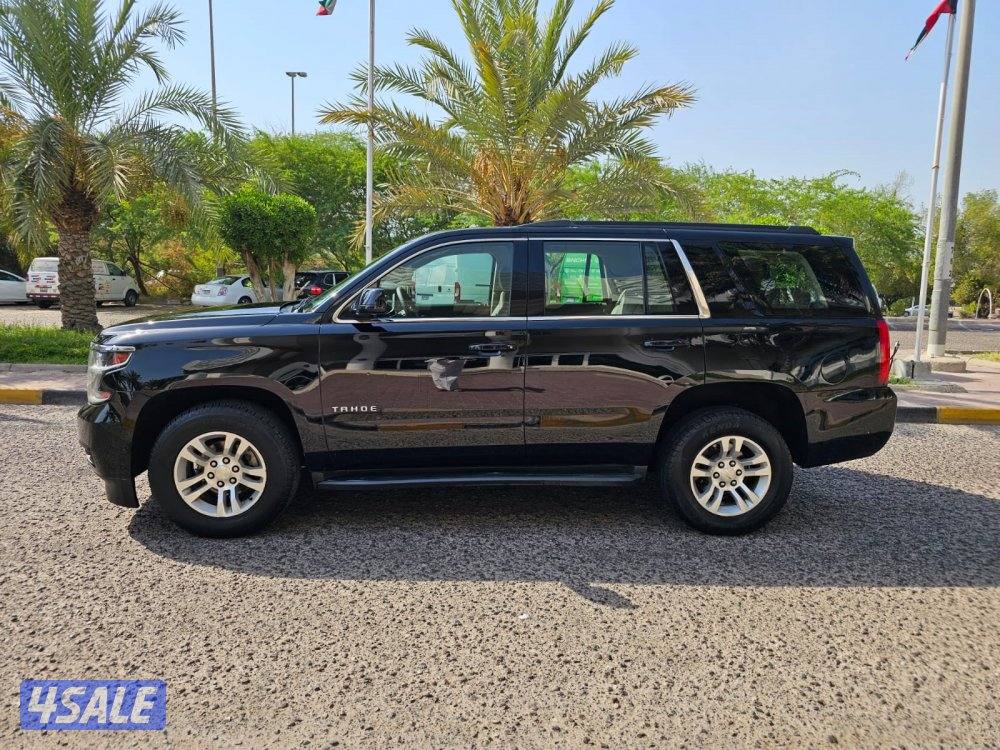 تاهو الغانم2