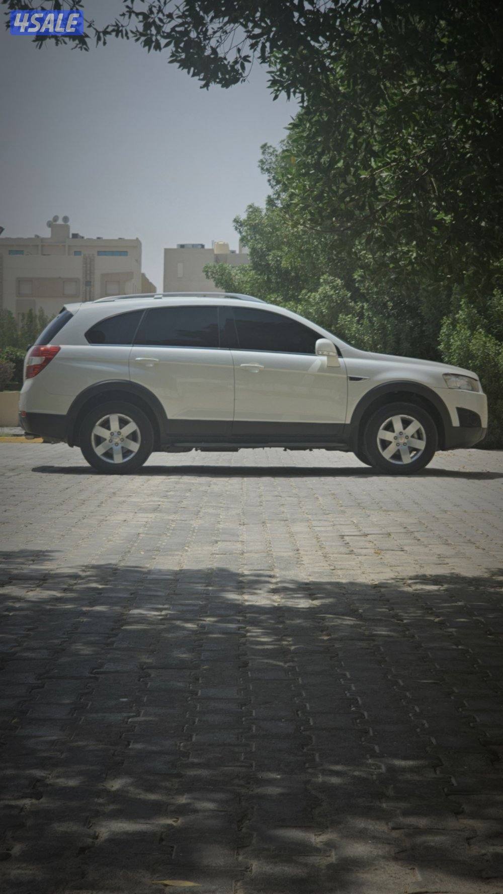 كابتيفا ٢٠١٢ صبغ الوكاله4