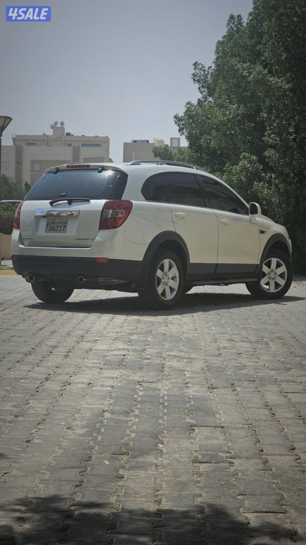 كابتيفا ٢٠١٢ صبغ الوكاله5