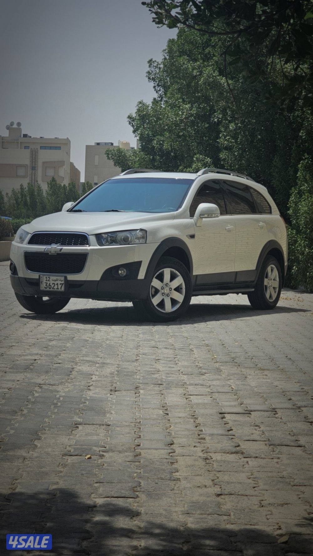 كابتيفا ٢٠١٢ صبغ الوكاله6