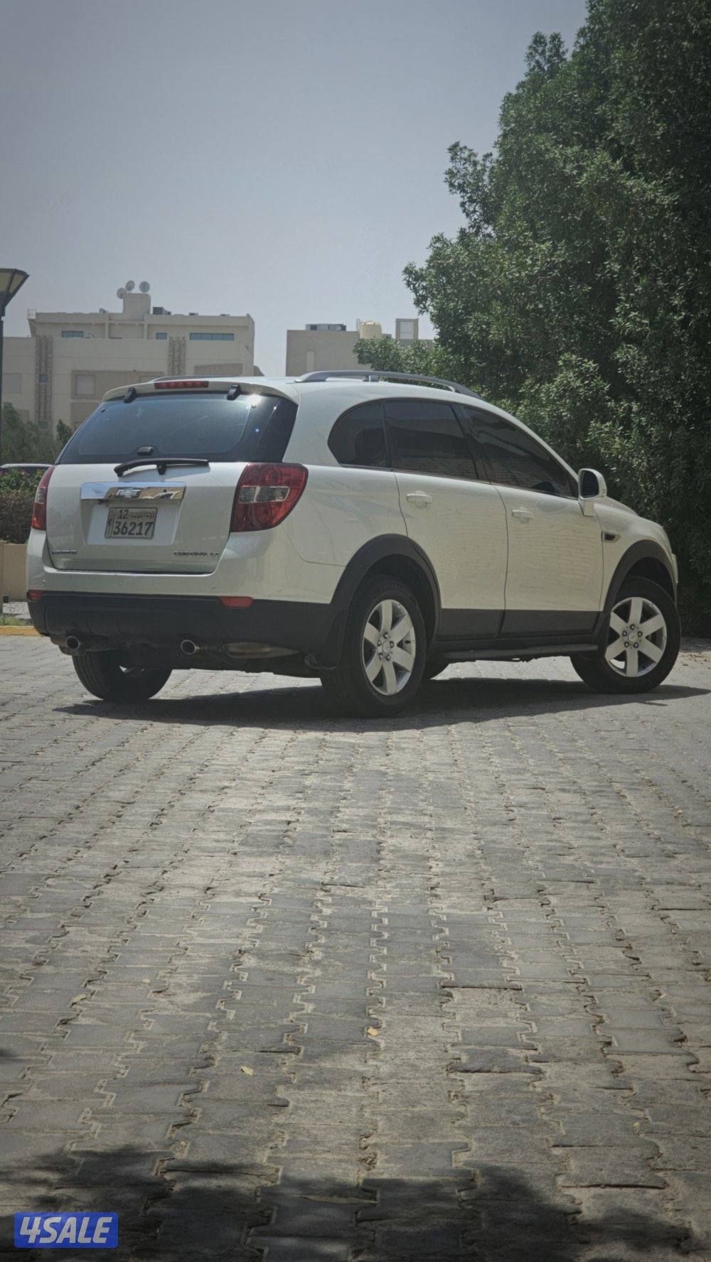 كابتيفا ٢٠١٢ صبغ الوكاله7