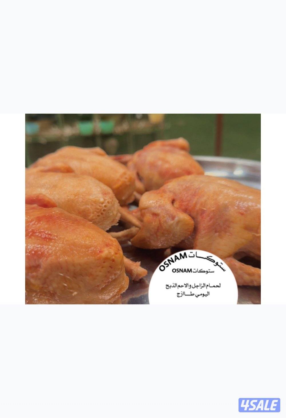 فروخ زاجل للبيع نادي الفروسيه الجهراء الذبح على الطلب يوجد توصيل2