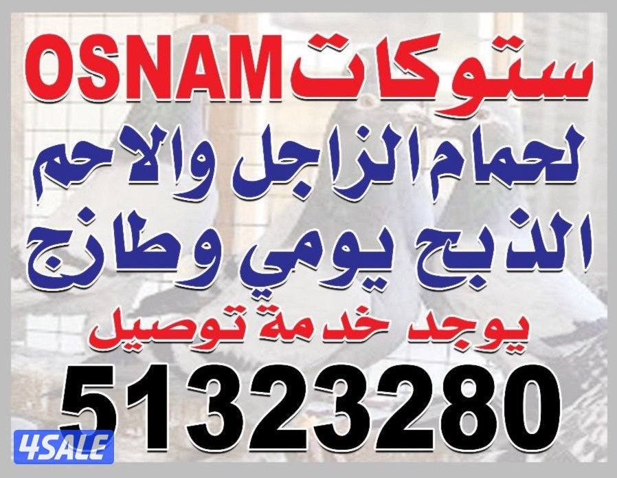 فروخ زاجل للبيع نادي الفروسيه الجهراء الذبح على الطلب يوجد توصيل1