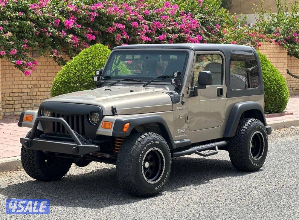 2006 JEEP WRANGLER TJ (154)KM0