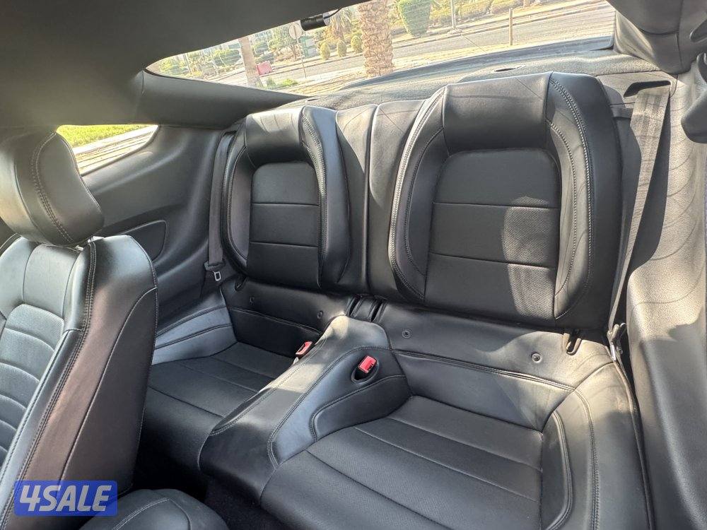 📍🔴موستنق BULLITT اصلي وحيده بالكويت🔴📍6